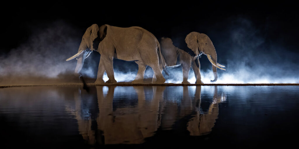 Elephants at a floodlit waterhole at night in Kenya, a Pano Awards 2026 finalist image