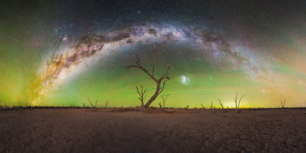 Milky Way arch over dead trees at Lake Dowerin, Western Australia, a Pano Awards 2026 finalist image